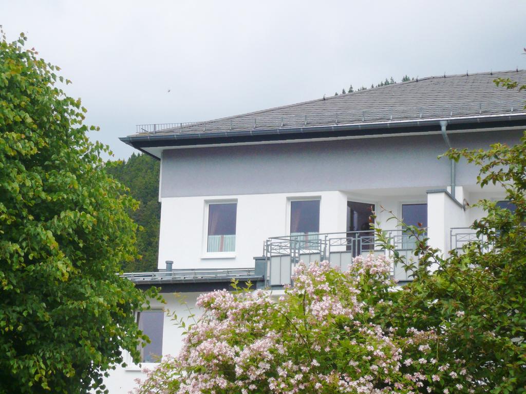 Fewo Penthaus-Blick Вилинген Екстериор снимка